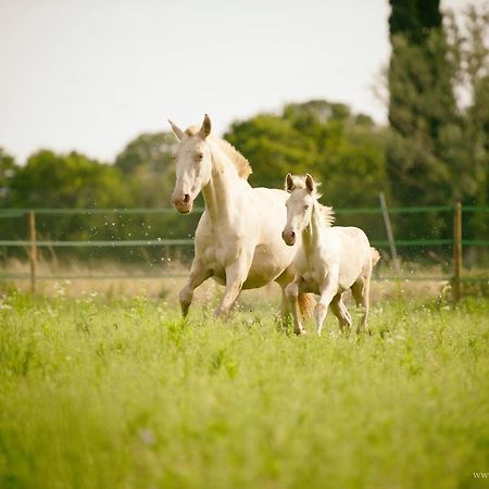 Domaine Cap Rubis Bed and Breakfast Paradou Εξωτερικό φωτογραφία